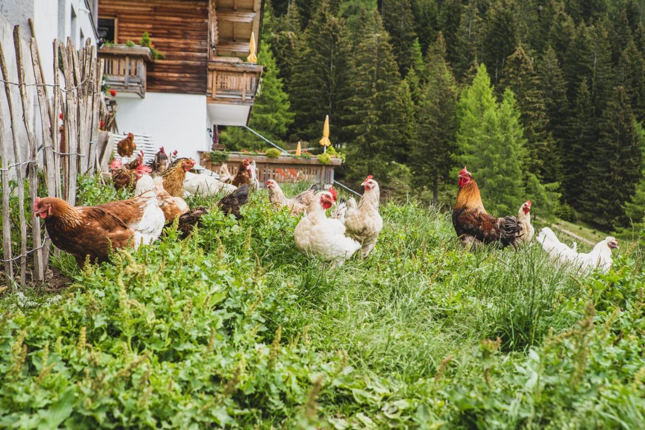 Ferienwohnungen Wiesbauer Скена Экстерьер фото