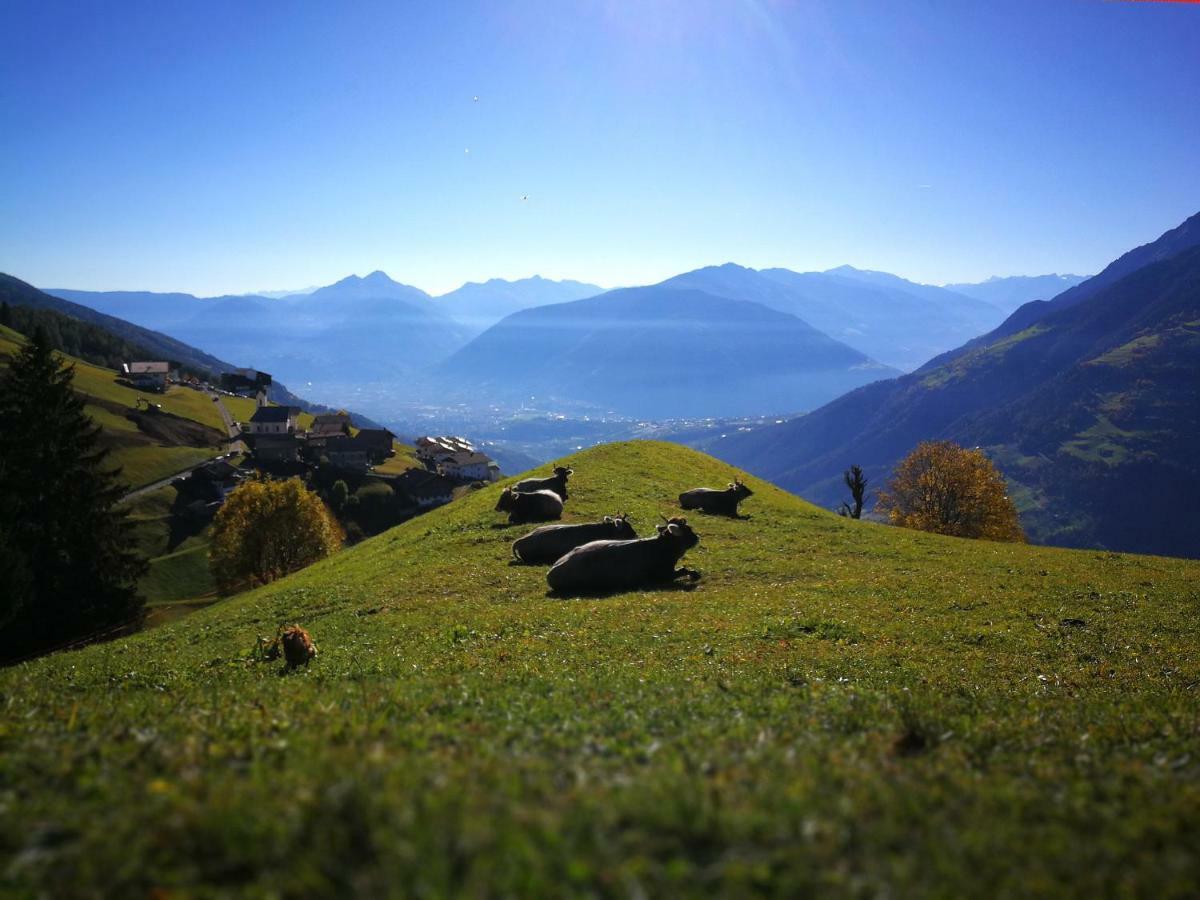 Ferienwohnungen Wiesbauer Скена Экстерьер фото